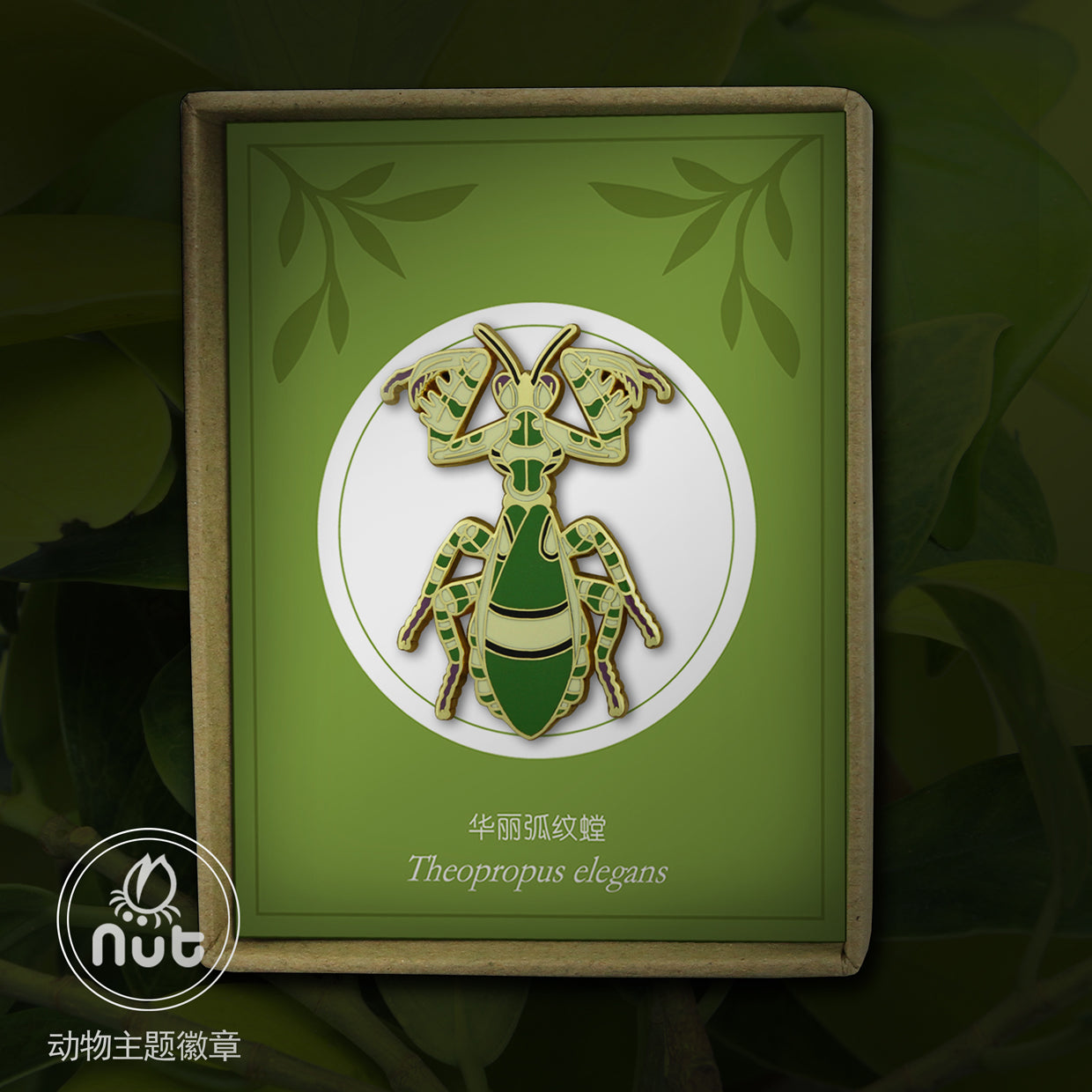 Insect Badge Theopropus elegans