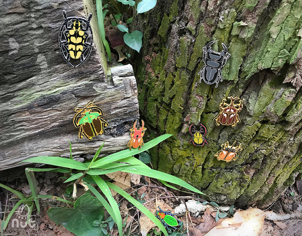 Insect Badge “Chinese Beetle Series Ⅰ”