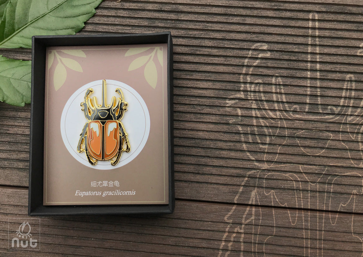 Insect Badge “Chinese Beetle Series Ⅰ”