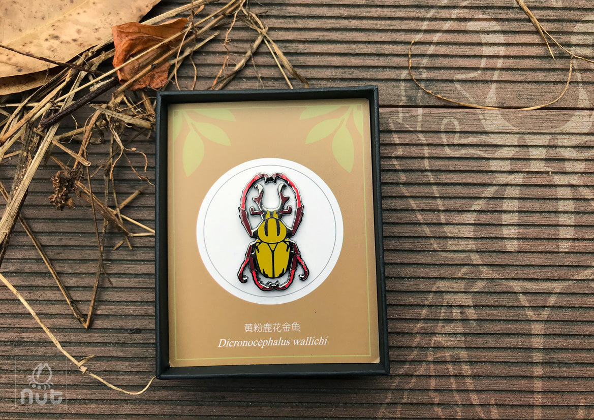 Insect Badge “Chinese Beetle Series Ⅰ”