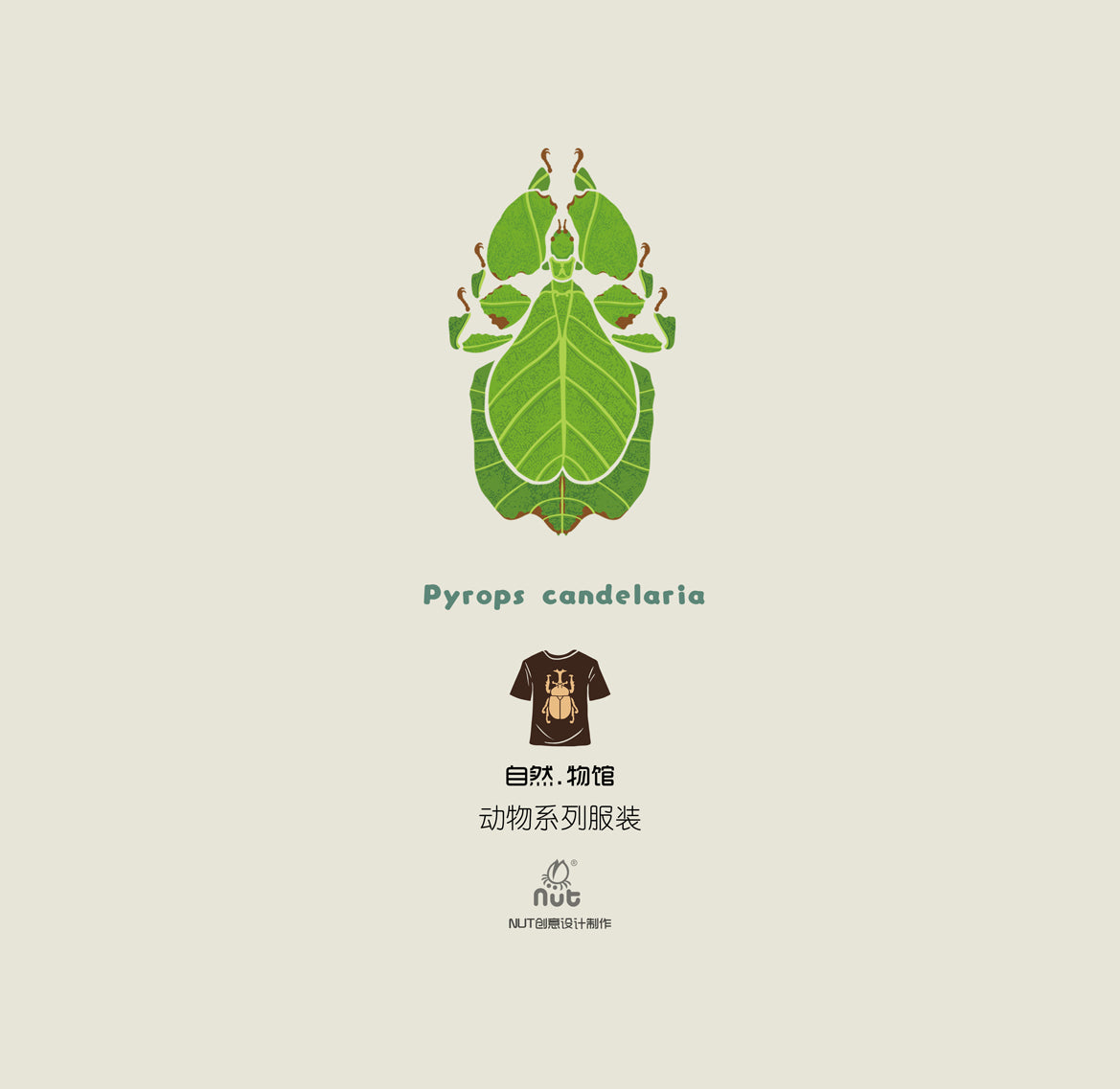 T-shirt Phyllium