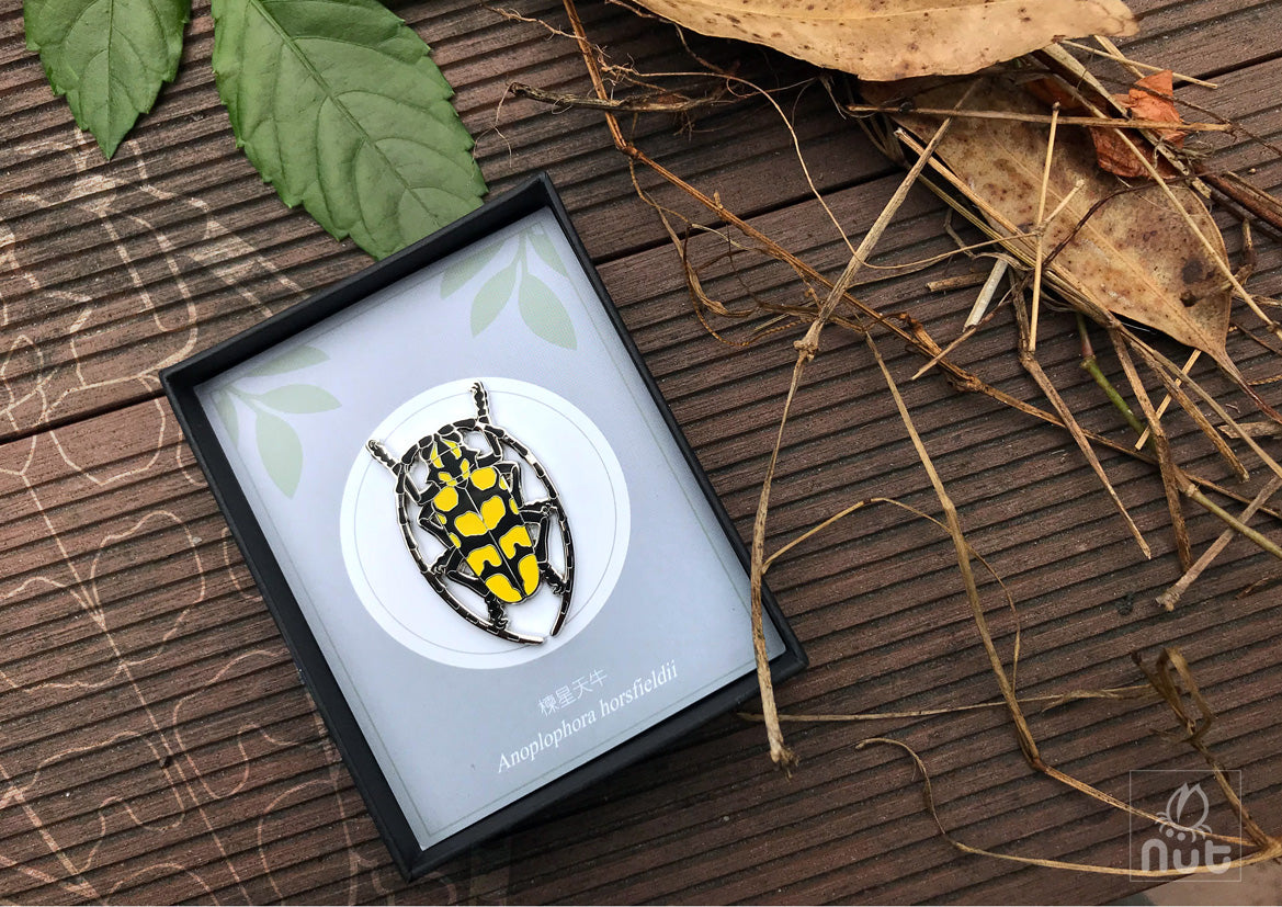 Insect Badge “Chinese Beetle Series Ⅰ”