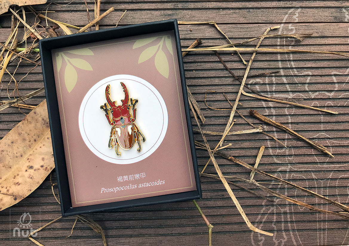 Insect Badge “Chinese Beetle Series Ⅰ”