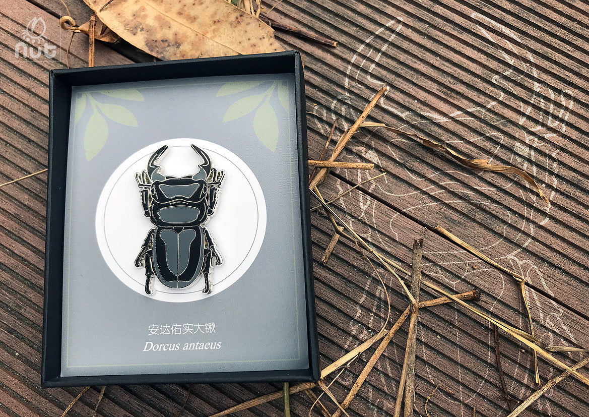 Insect Badge “Chinese Beetle Series Ⅰ”