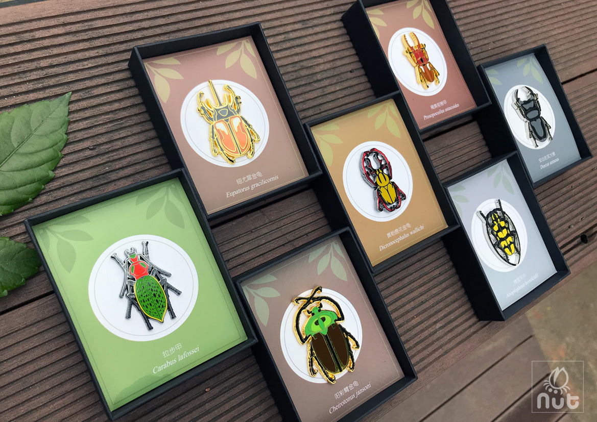 Insect Badge “Chinese Beetle Series Ⅰ”