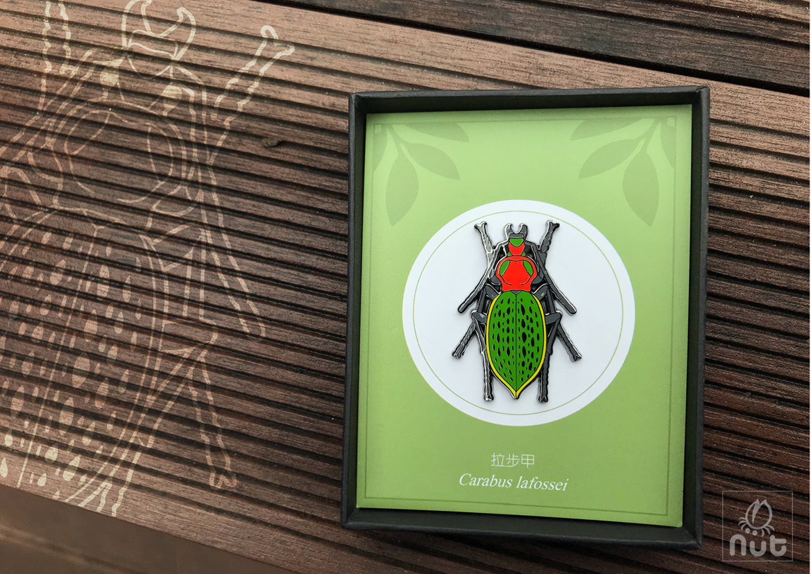 Insect Badge “Chinese Beetle Series Ⅰ”
