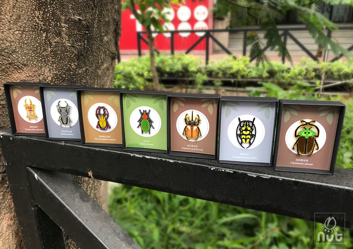Insect Badge “Chinese Beetle Series Ⅰ”