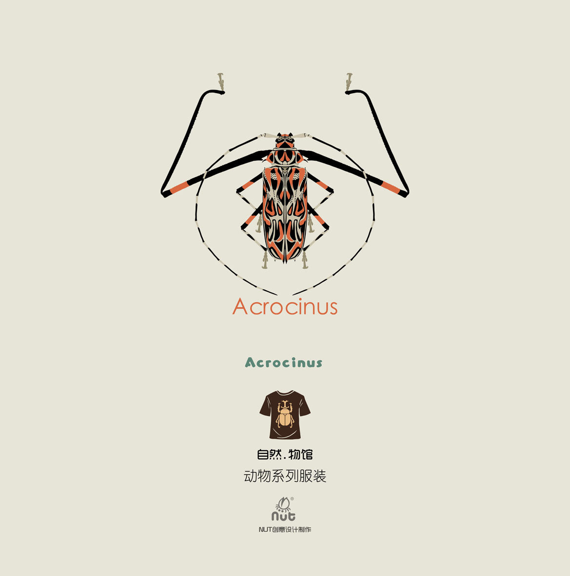 T-shirt Acrocinus