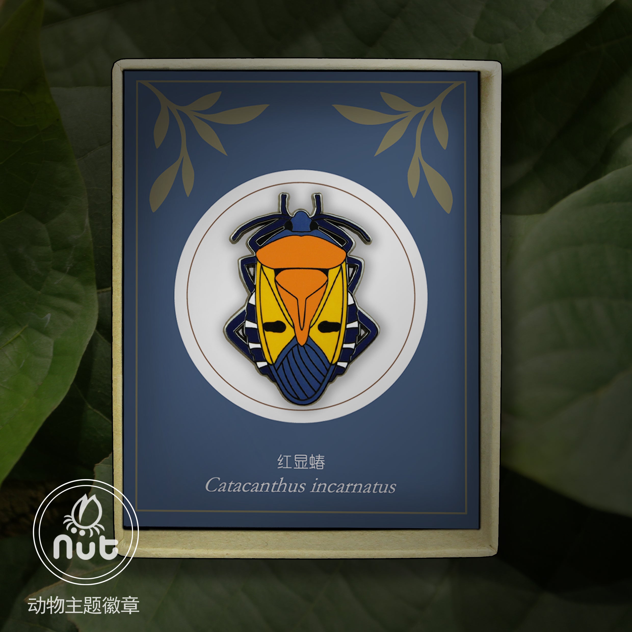 Round Insect Badge Insect Badge Catacanthus incarnates “Face bug” – Nut Insect Nature Design