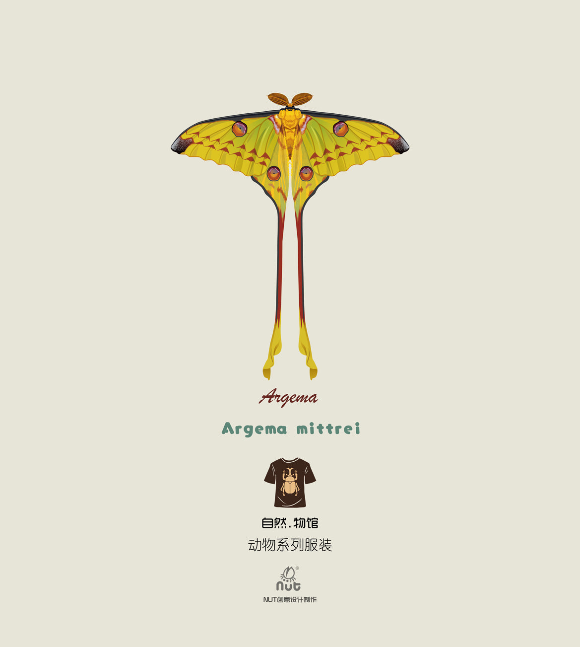 T-shirt Argema mittrei