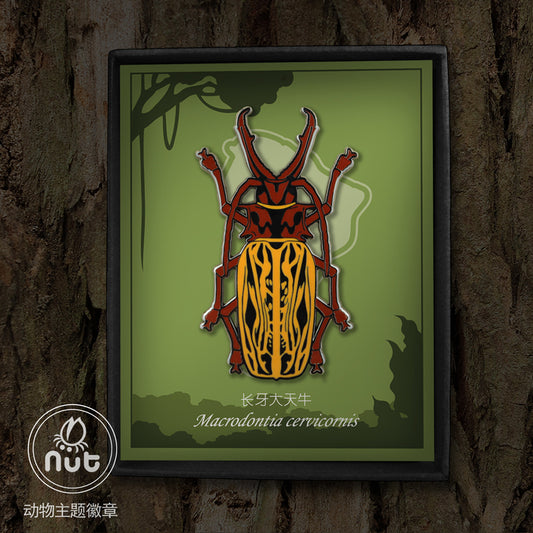 Insect Badge Macrodontia cervicornis “Long-toothed Longhorn”