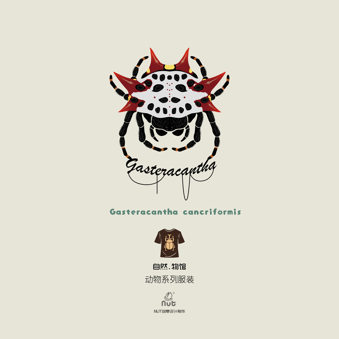 T-shirt Gasteracantha cancriformis