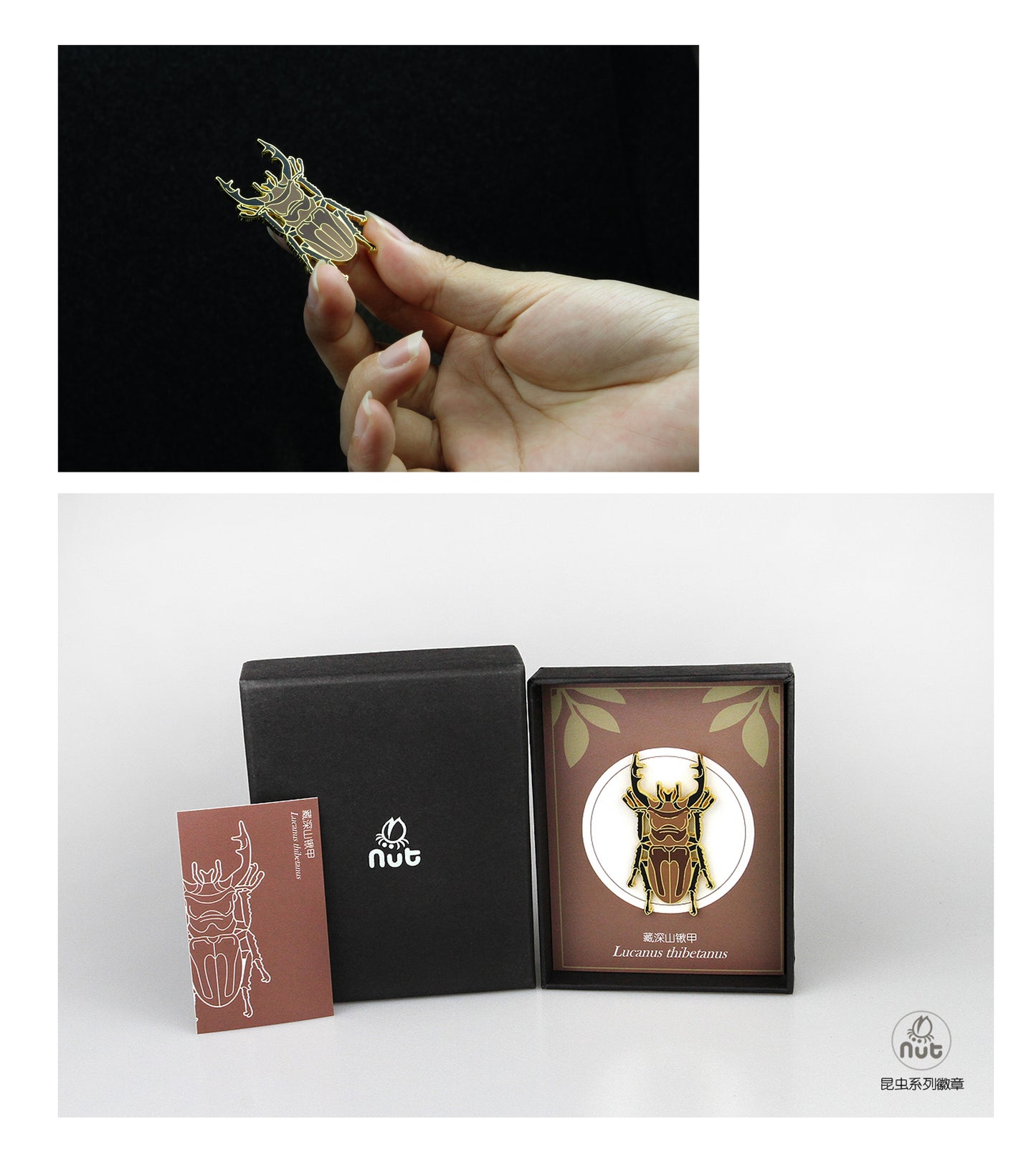 Insect Badge “Chinese Beetle Series Ⅱ”