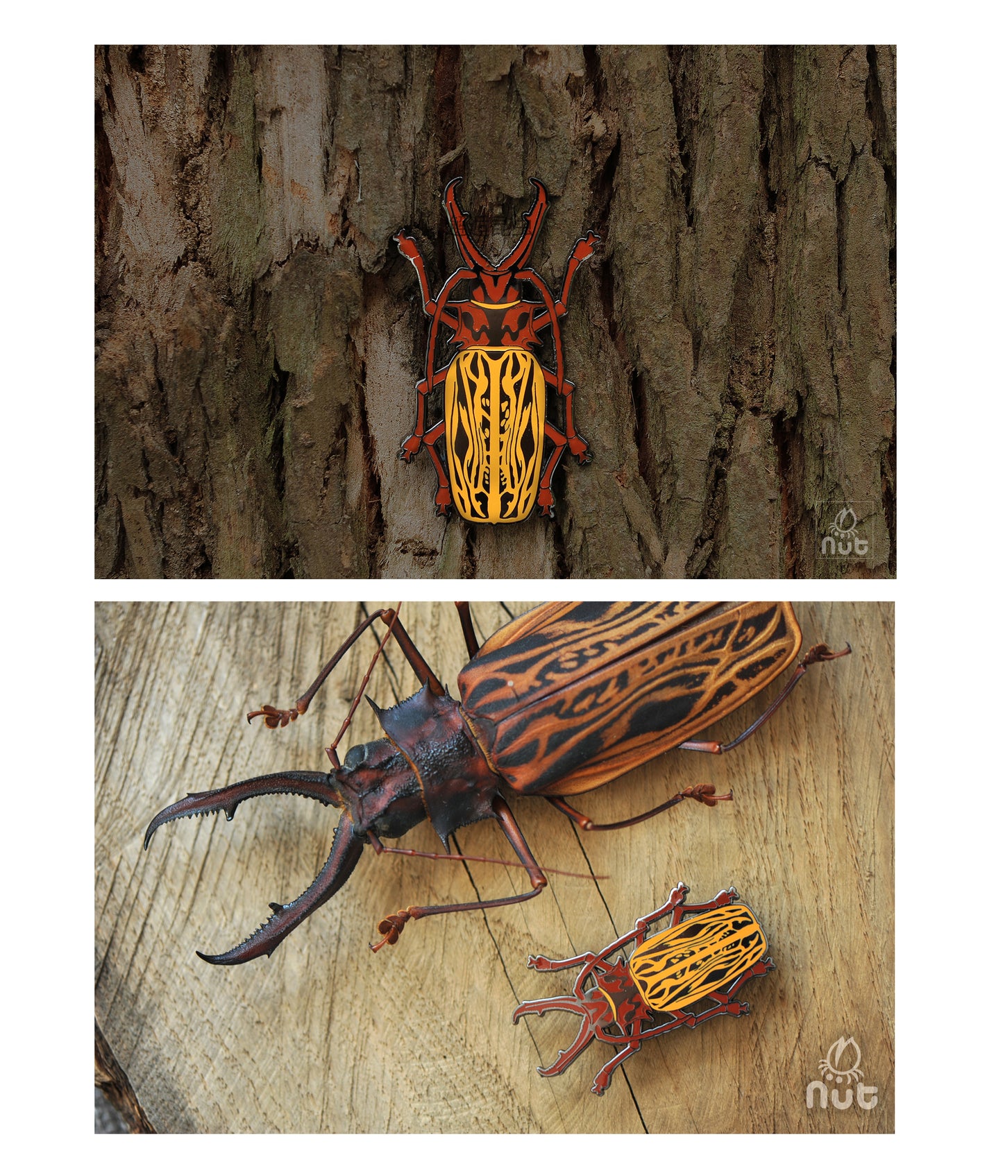 Insect Badge Macrodontia cervicornis “Long-toothed Longhorn”