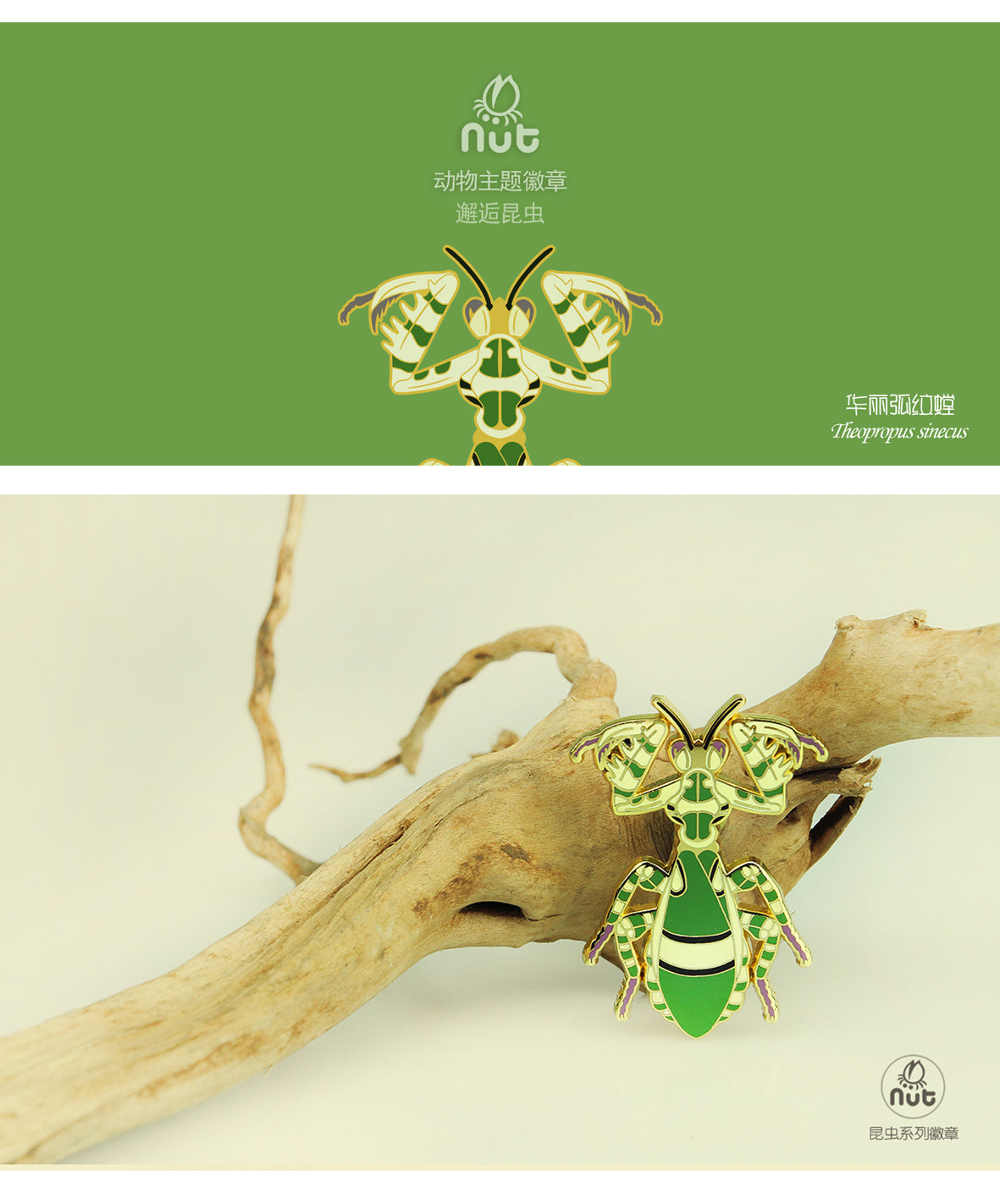 Insect Badge Theopropus elegans