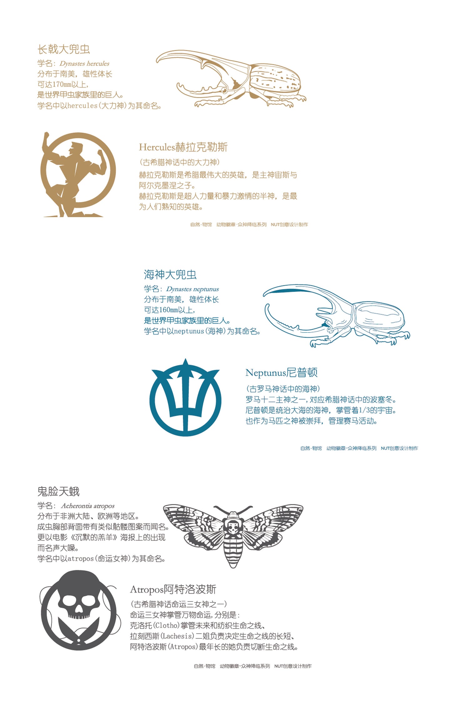 Insect Badge  “The gods come down Ⅰ” Dynastes neptunus