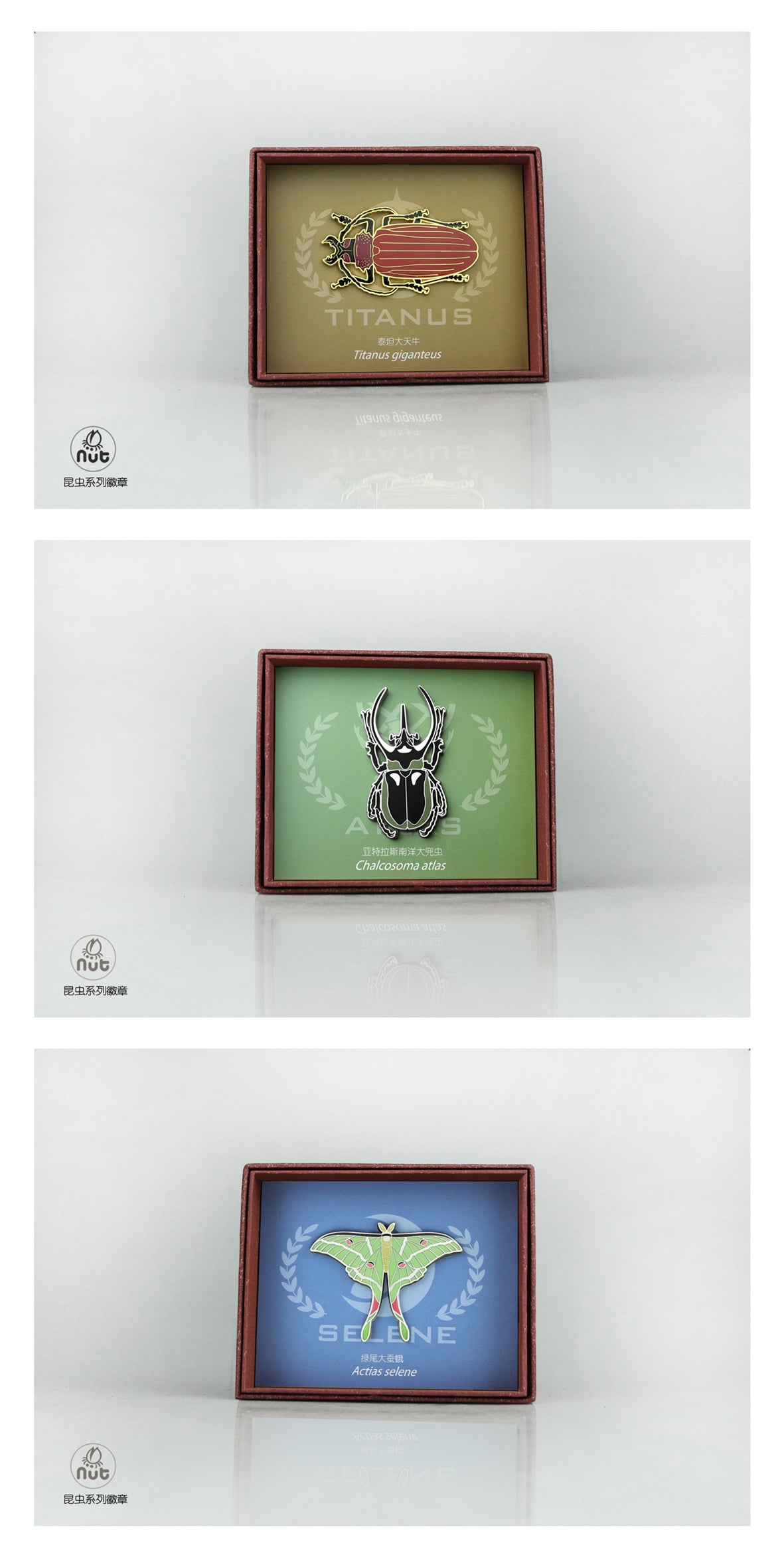 Insect Badge  “The gods come down Ⅱ” Titanus giganteus
