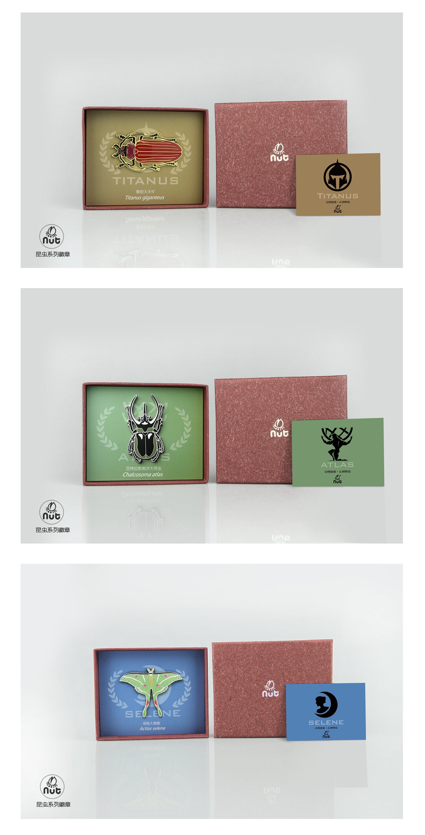 Insect Badge  “The gods come down Ⅱ” Titanus giganteus