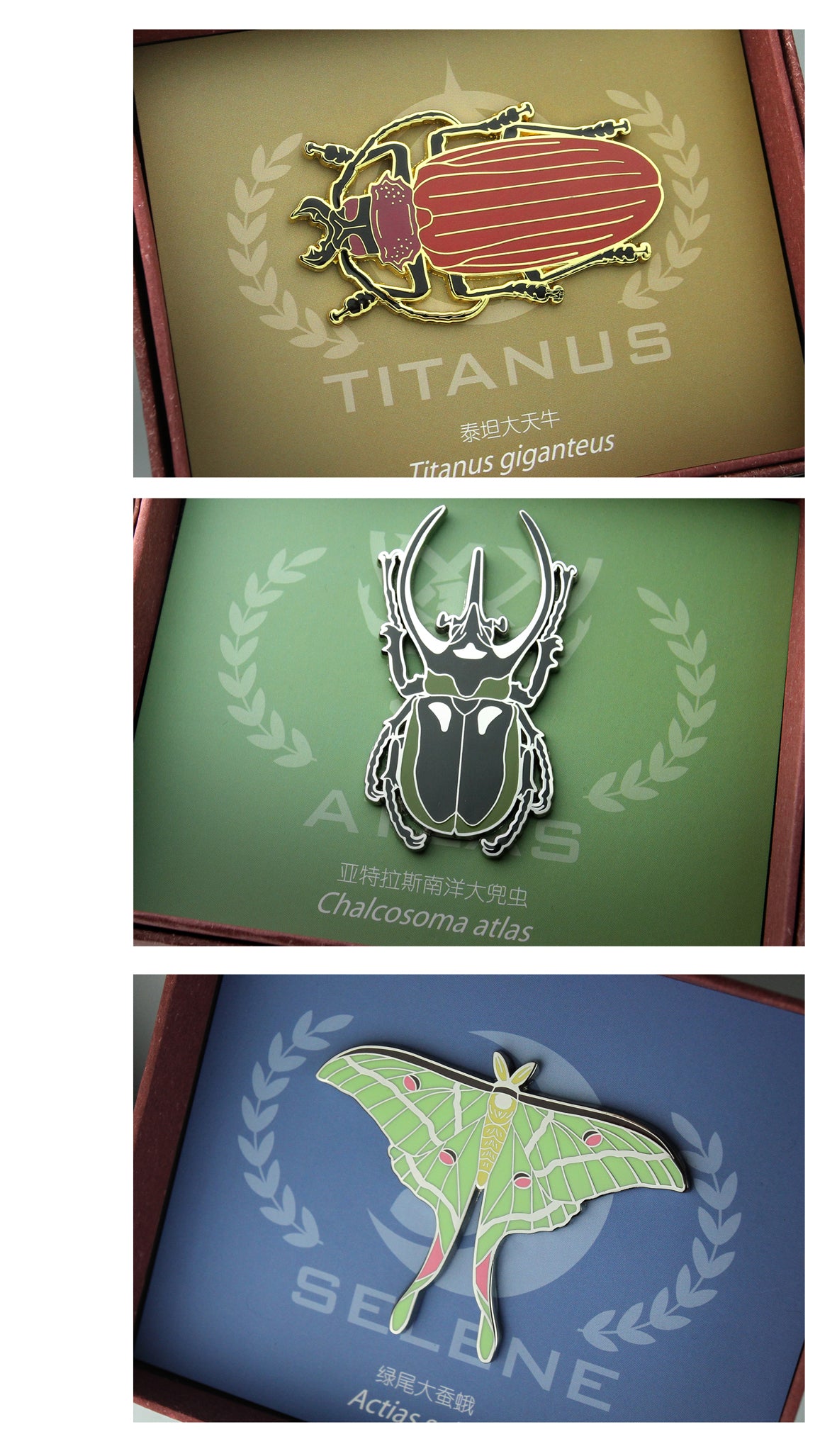 Insect Badge  “The gods come down Ⅱ” Titanus giganteus