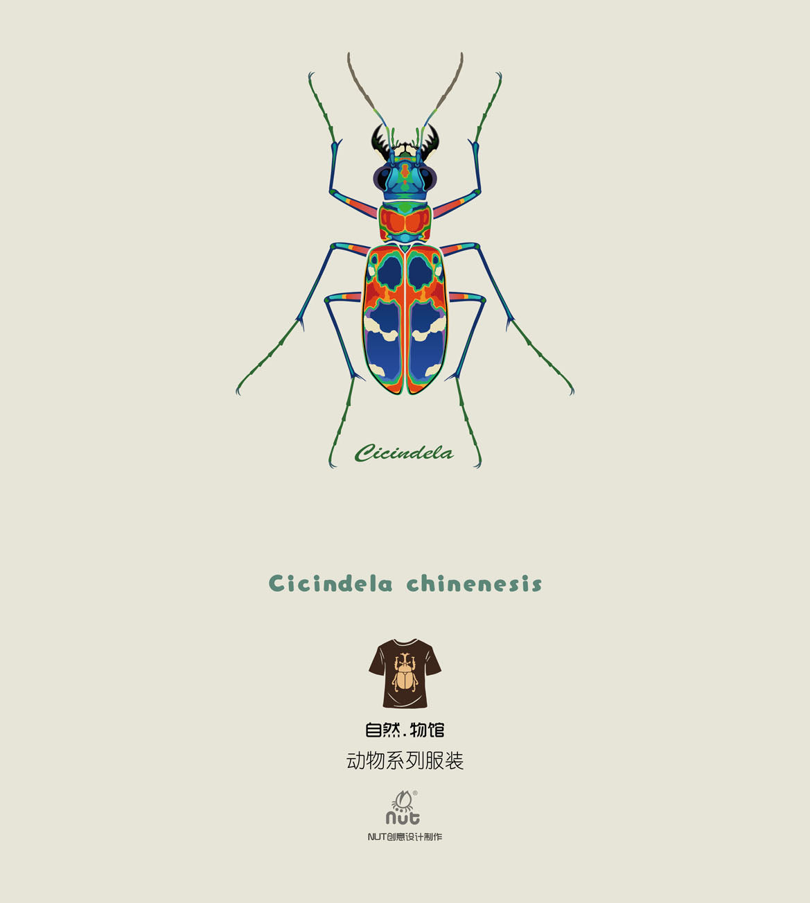 T-shirt Cicindela chinenesis