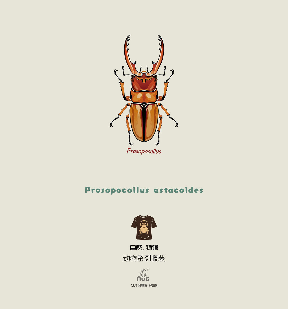 T-shirt Prosopocoilus astacoides