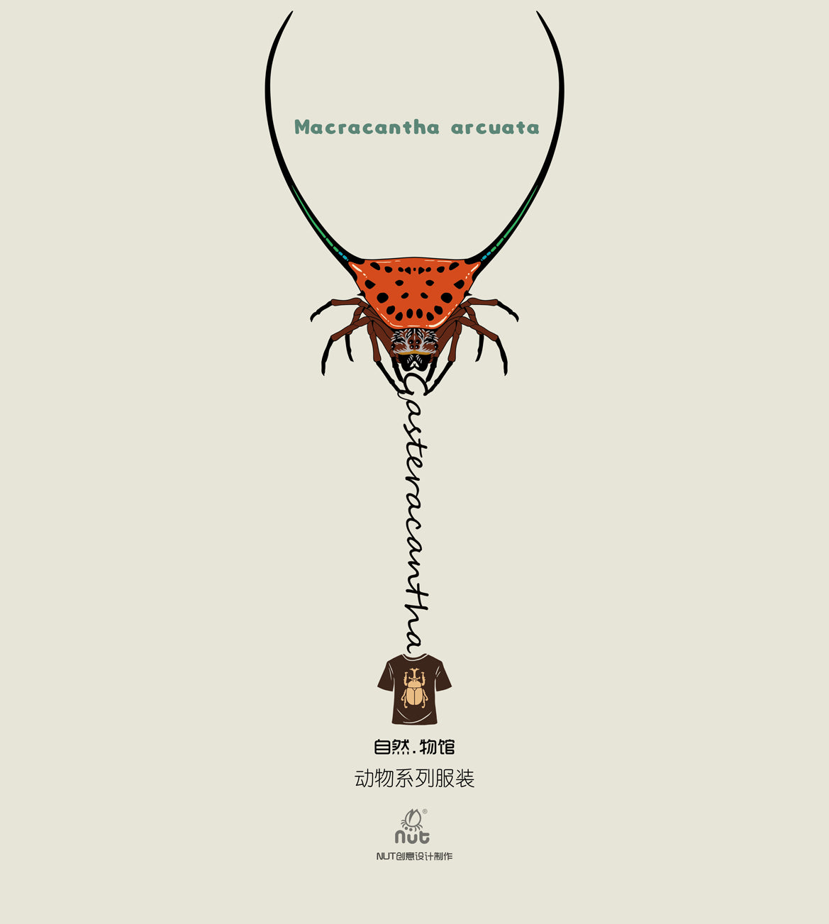 T-shirt Macracantha arcuata