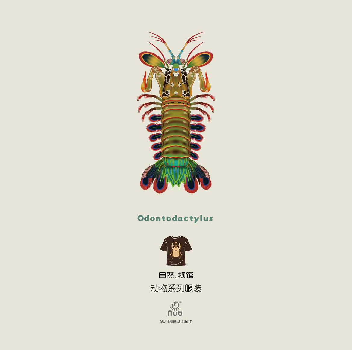 T-shirt Odontodactylus