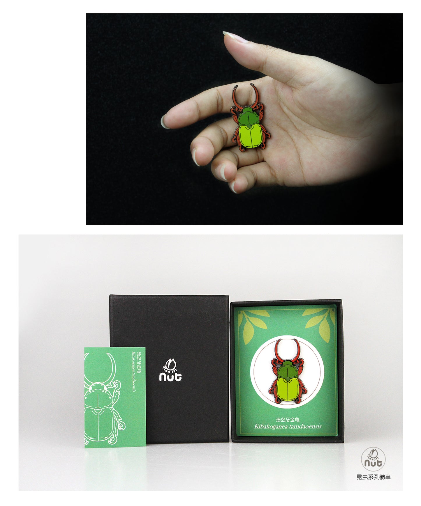 Insect Badge “Chinese Beetle Series Ⅱ”