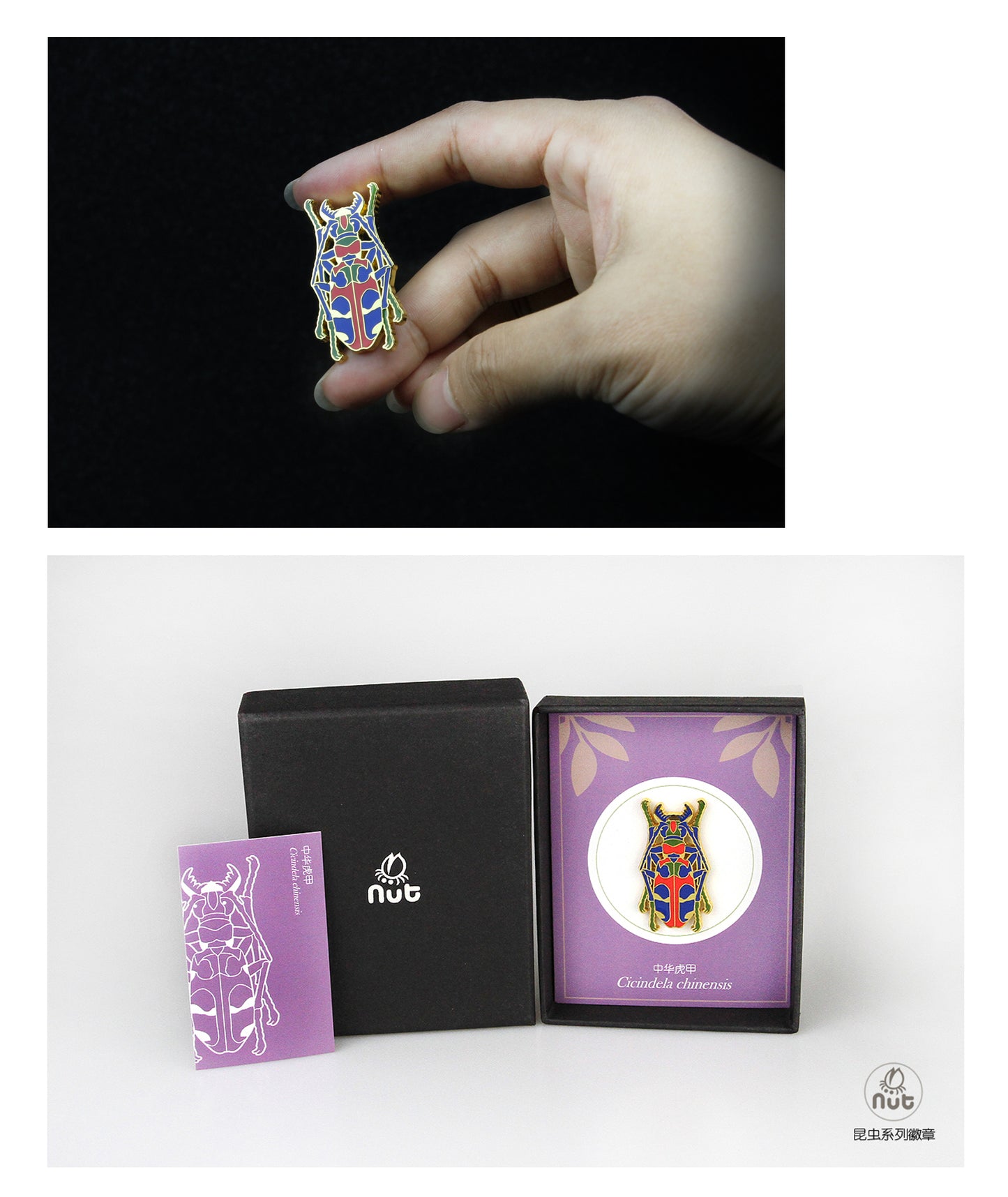 Insect Badge “Chinese Beetle Series Ⅱ”