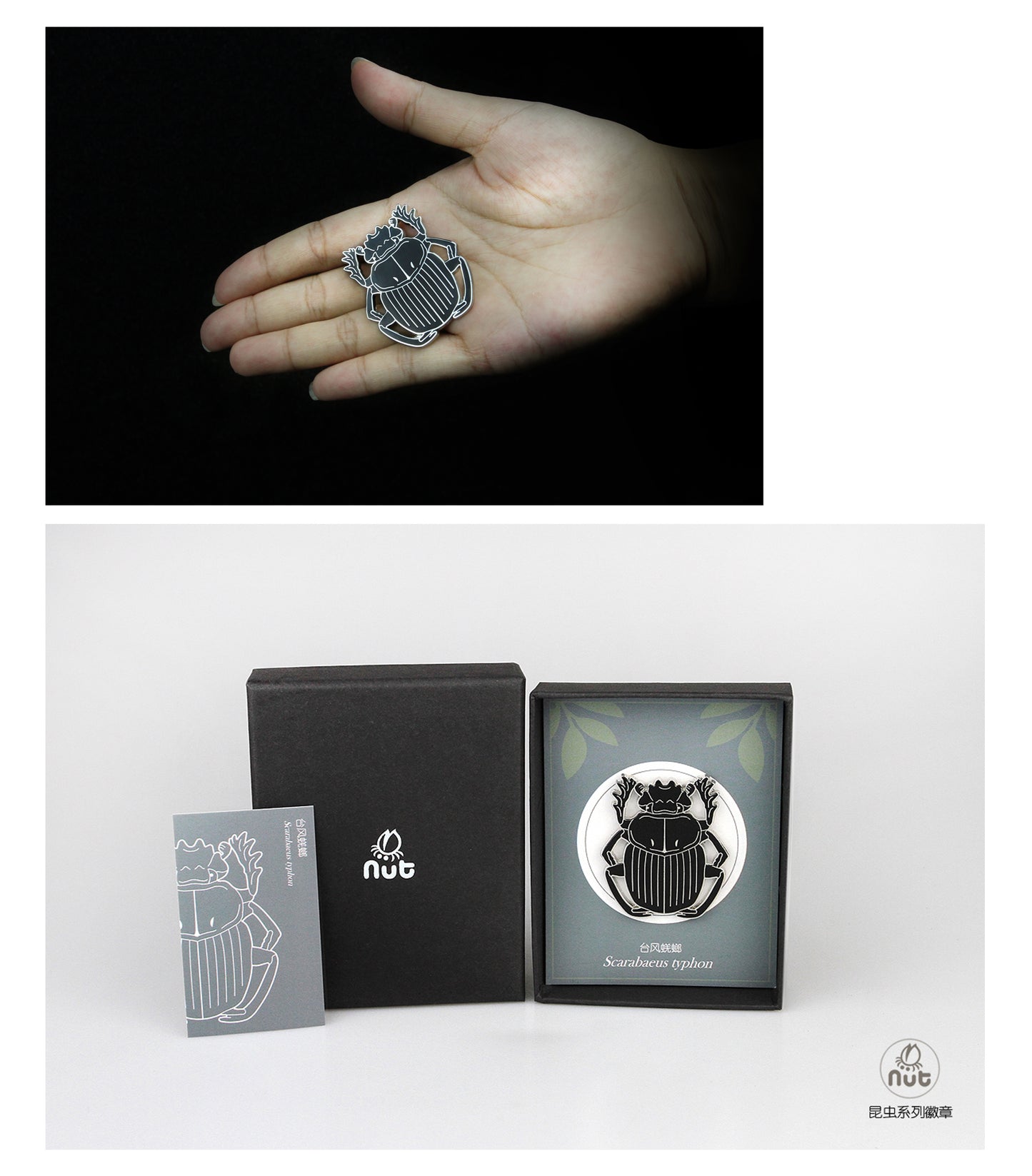 Insect Badge “Chinese Beetle Series Ⅱ”