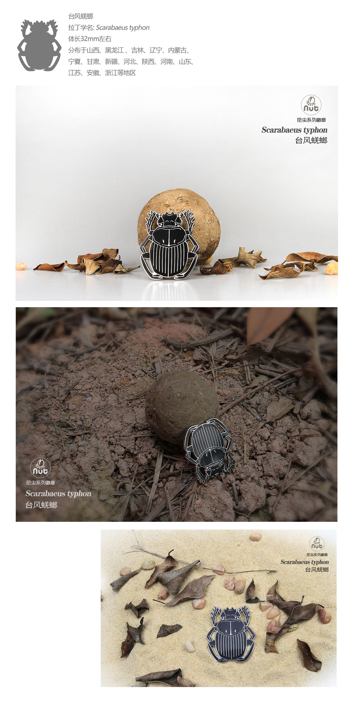 Insect Badge “Chinese Beetle Series Ⅱ”