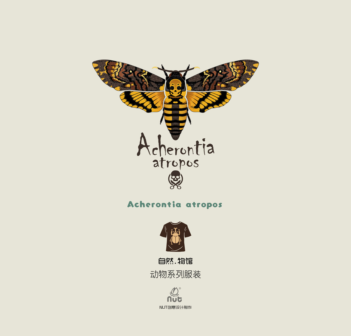 T-shirt Acherontia atropos