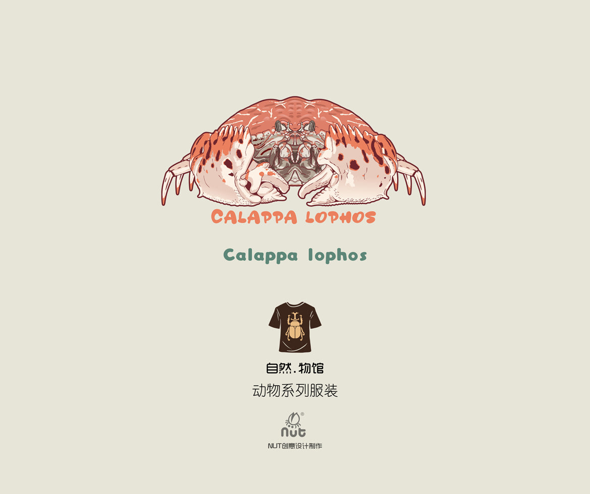 T-shirt Calappa lophos