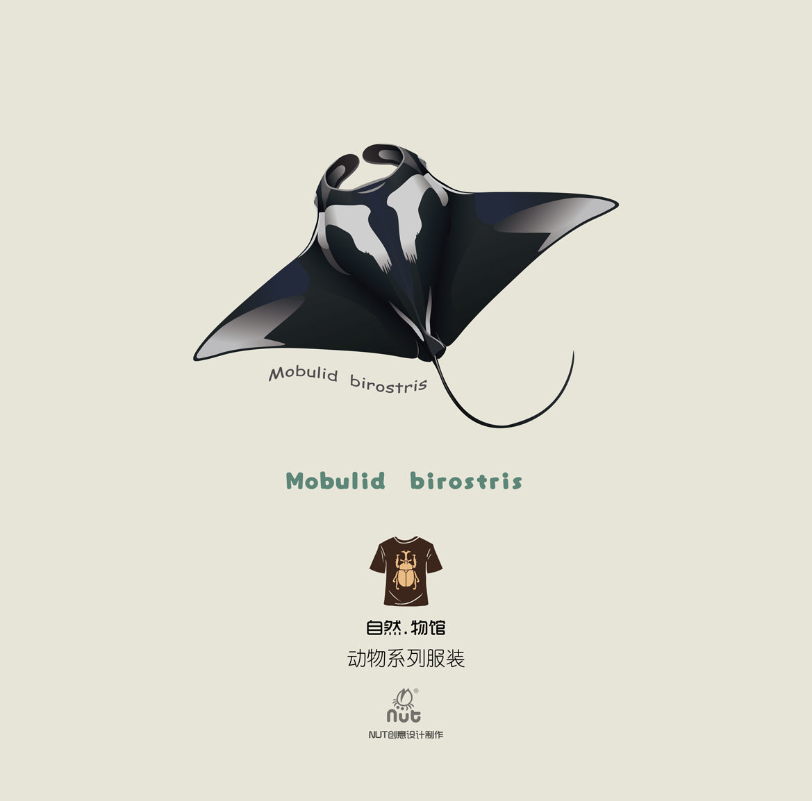 T-shirt Mobulid  birostris
