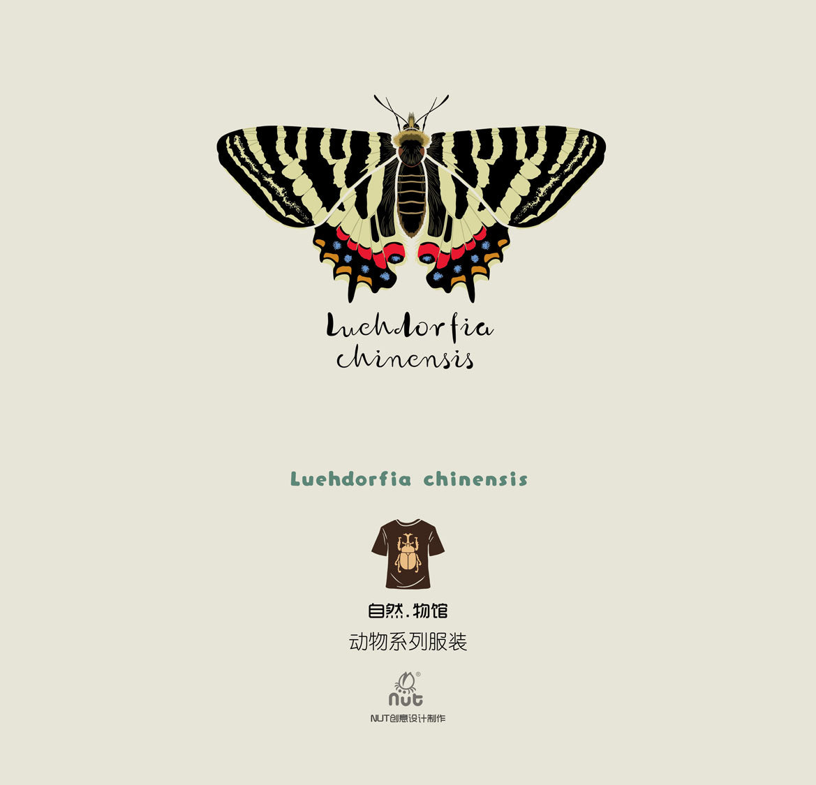 T-shirt Luehdorfia chinensis
