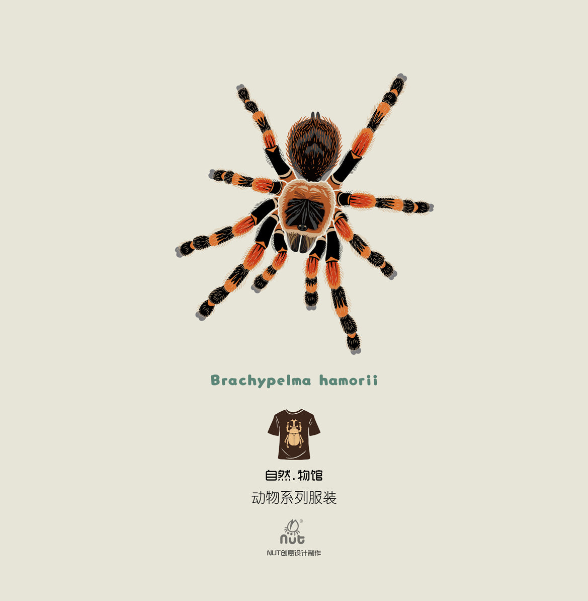 T-shirt Brachypelma hamorii
