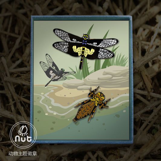 Insect Badge Chlorogomphus papilio