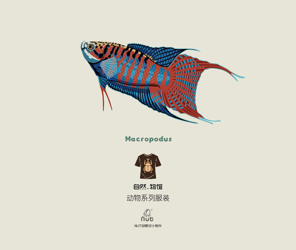 T-shirt Macropodus
