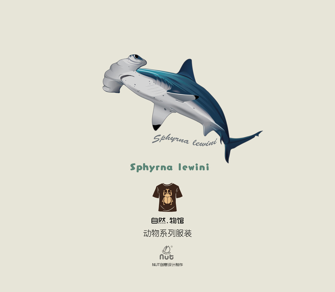 T-shirt Sphyrna lewini