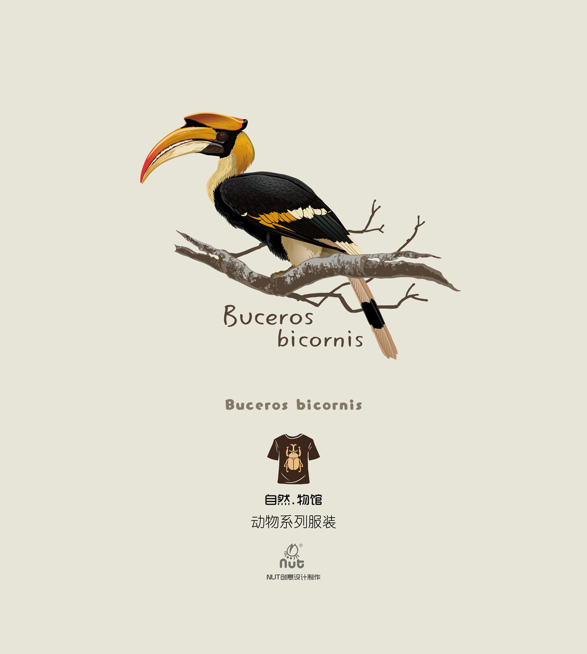 T-shirt Buceros bicornis