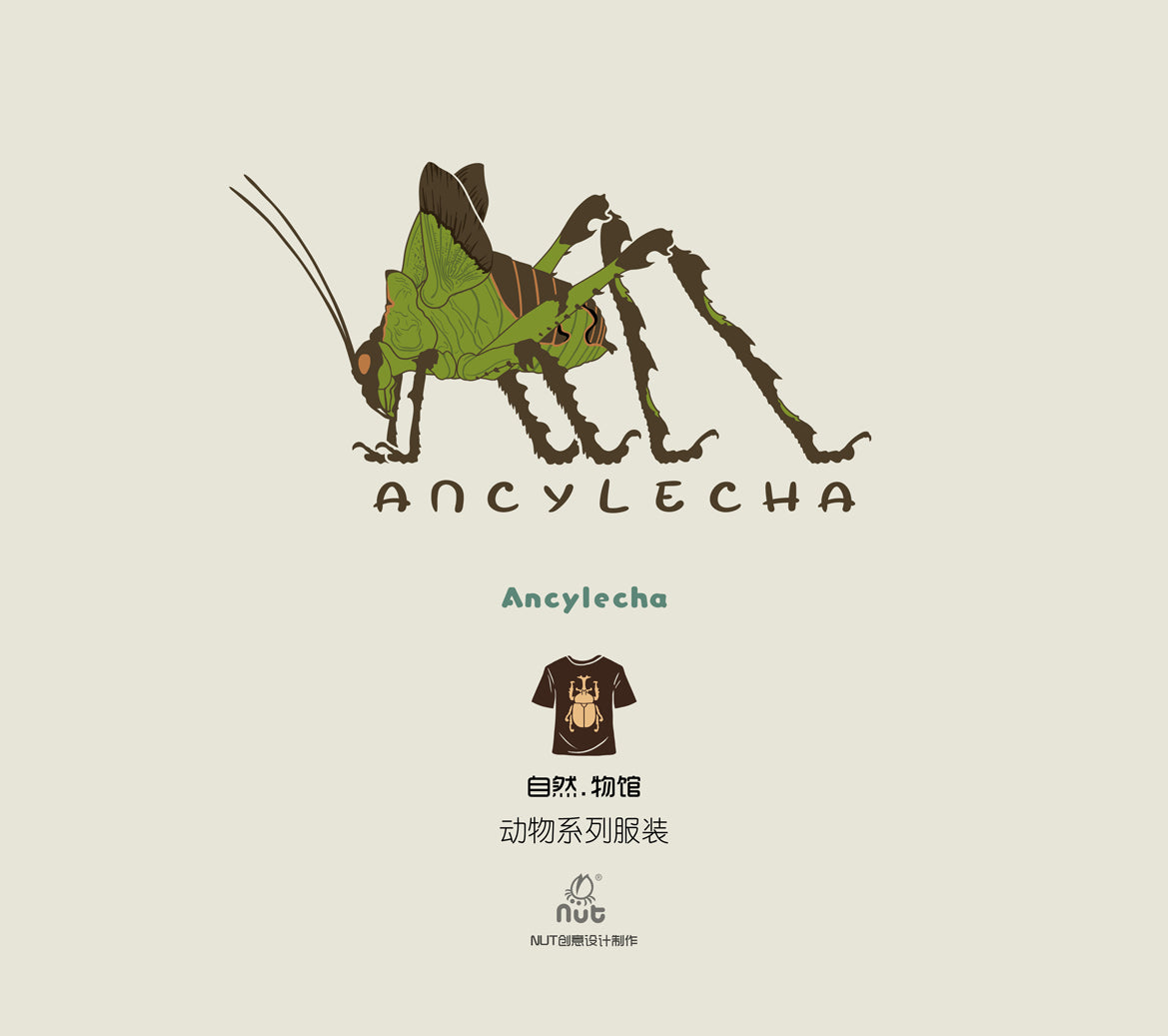 T-shirt Ancylecha
