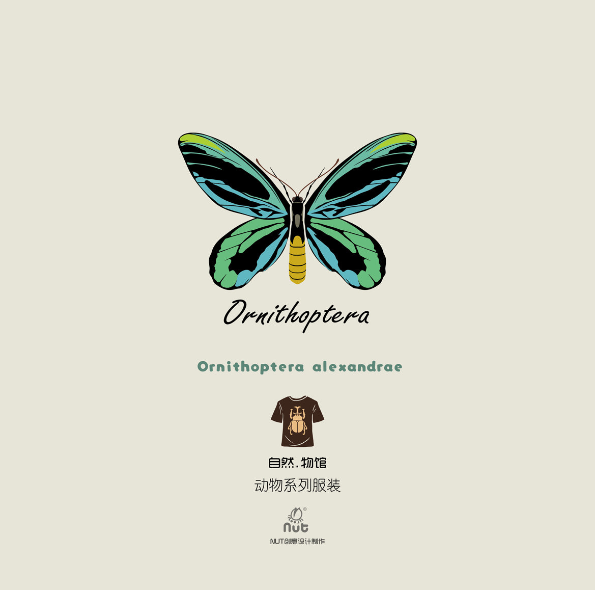 T-shirt Ornithoptera alexandrae