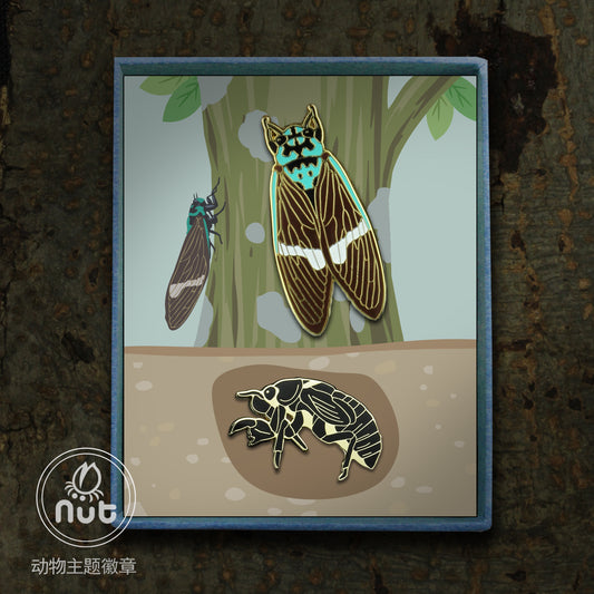 Insect Badge Formotosena seebohmi