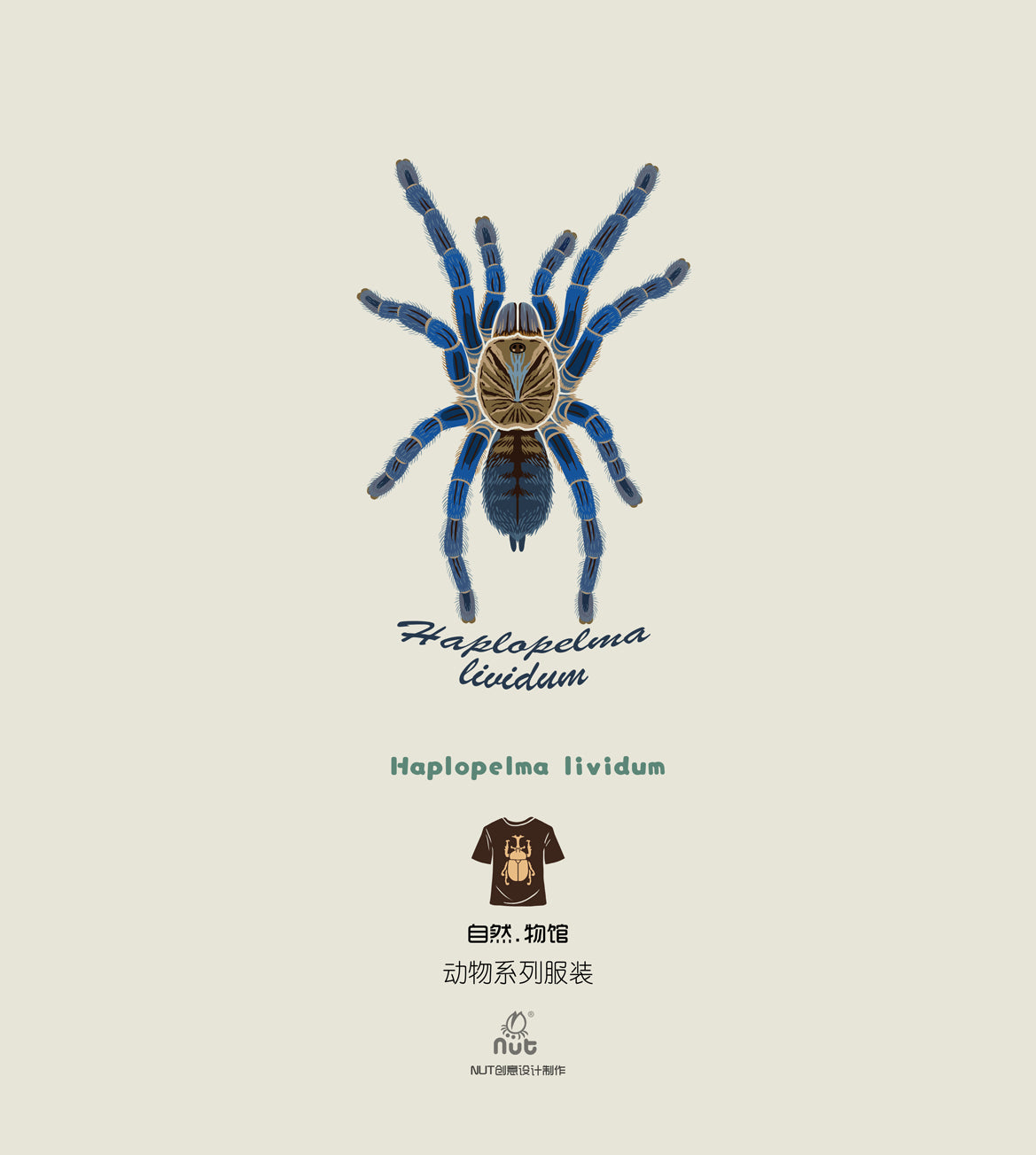 T-shirt Haplopelma lividum