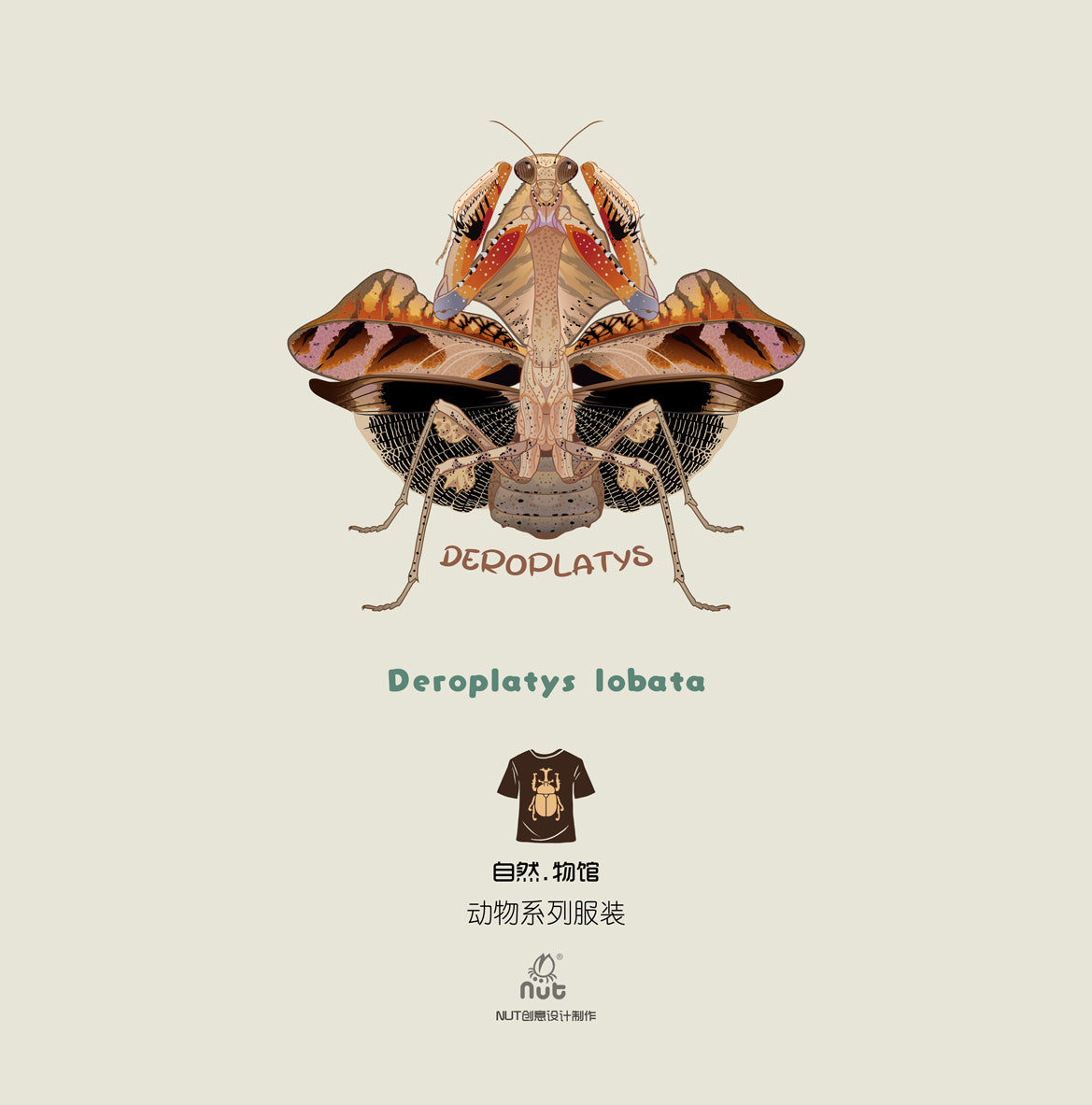 T-shirt Deroplatys lobata