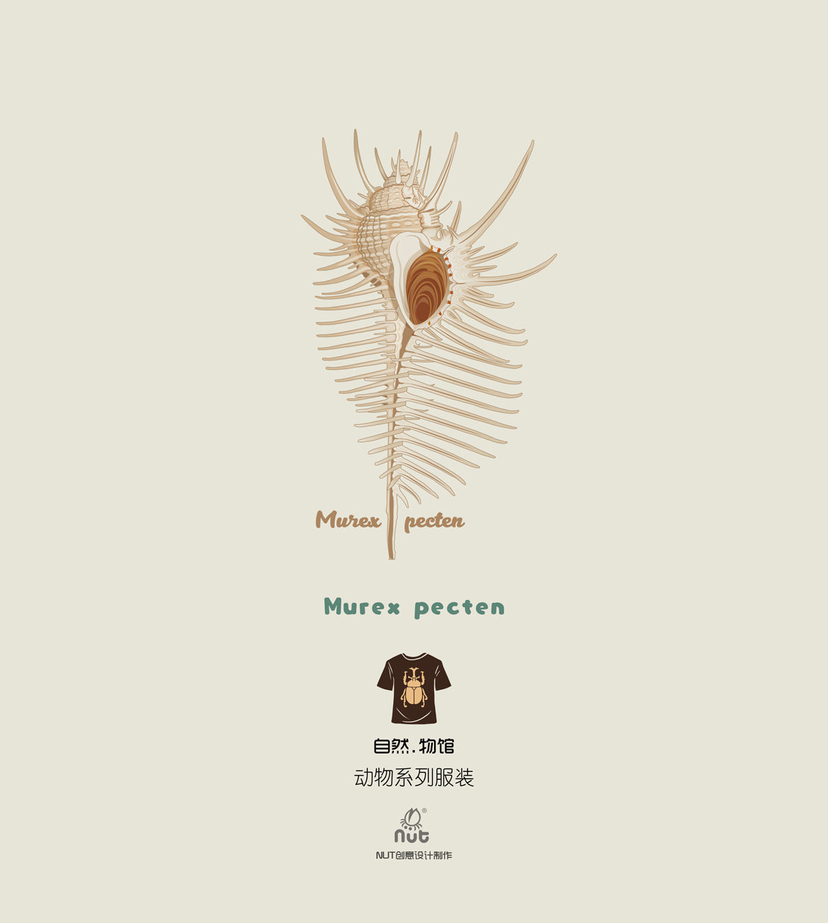 T-shirt Murex pecten