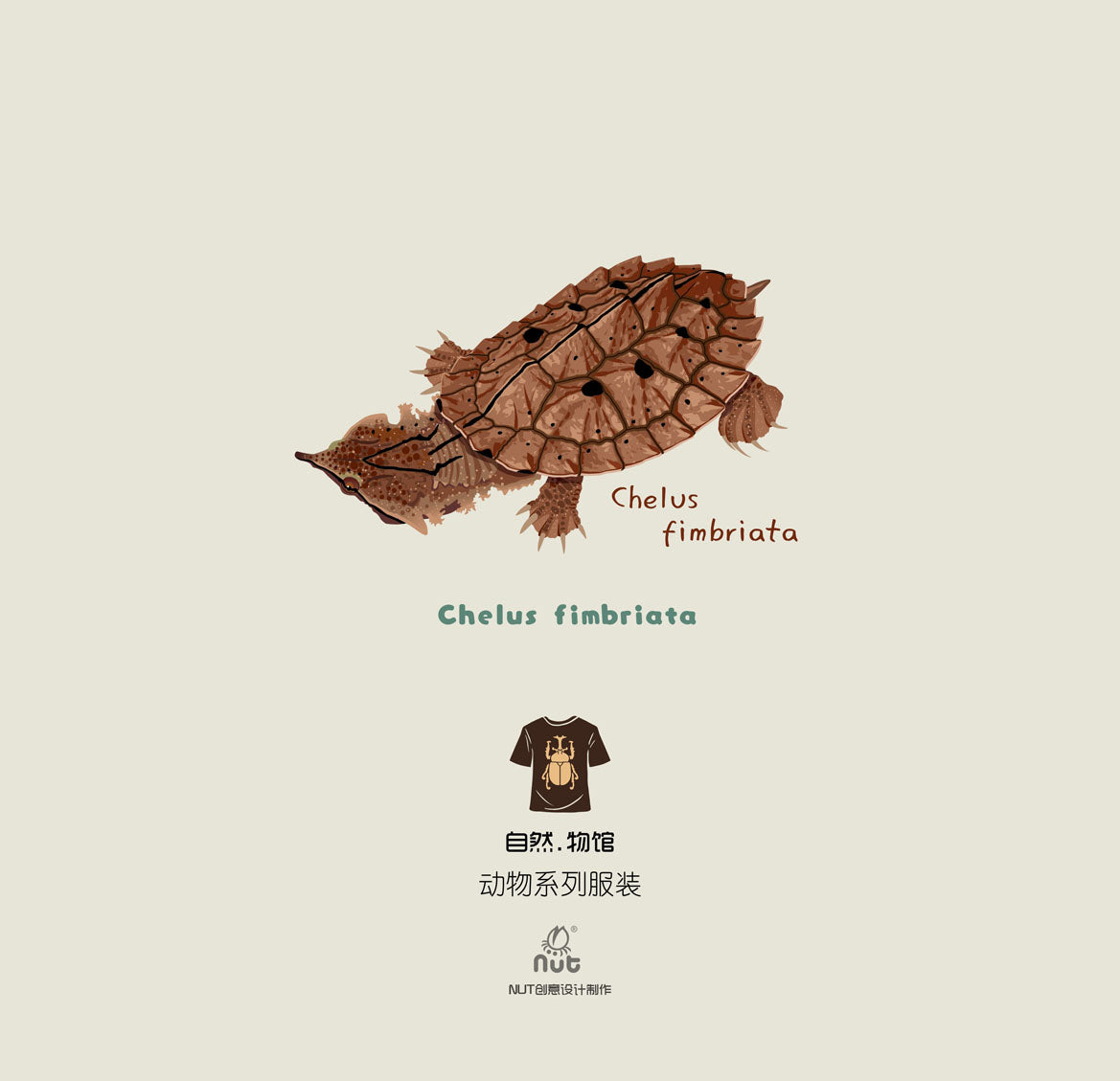 T-shirt Chelus fimbriata