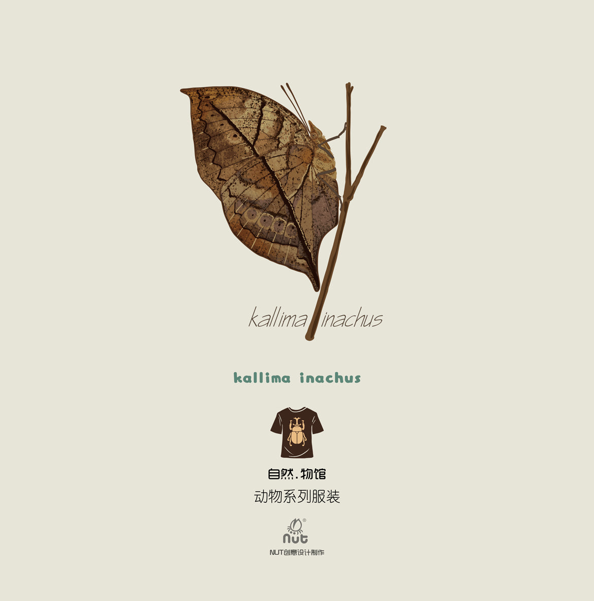T-shirt Kallima inachus