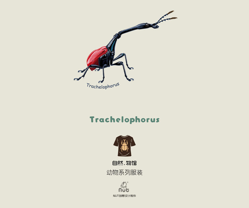T-shirt Trachelophorus