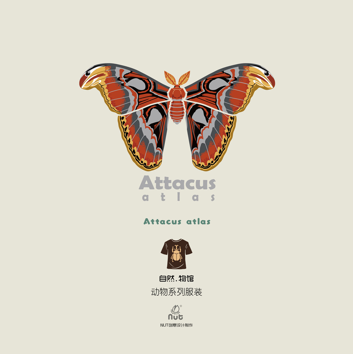T-shirt Attacus atlas